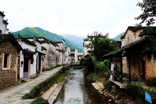 痴梦到徽州 黄山 宏村 卢村 黎阳in巷 屯溪老街 