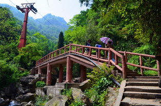 青城山能从后山上前山下吗