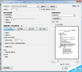 Win10系统PDF打印设置