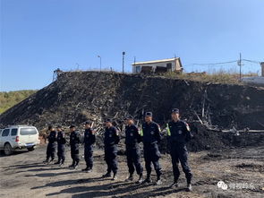 岭东区全面完成煤矿 淘化 工作任务