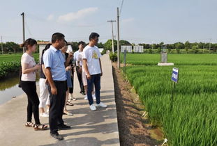 梦想从这里起航 油坊8名新进人员入职 第一课 学了啥,点这里,就知道