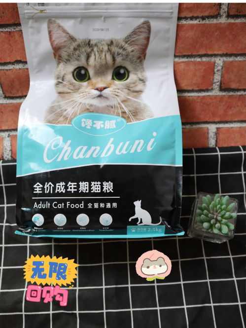 养猫好物分享,国产品牌猫粮选什么好 高性价比猫粮推荐