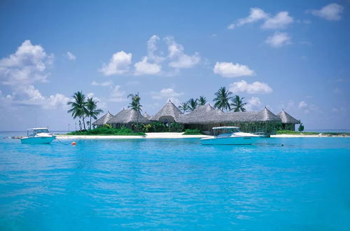 马尔代夫哪个岛旅游？马尔代夫怎么预定岛屿