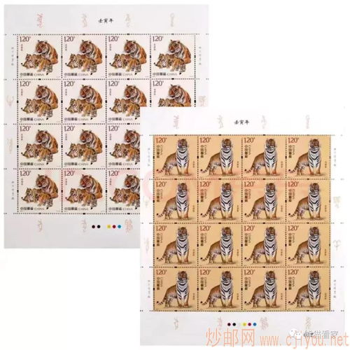 1.5 两市行情分化 南京 中南变现进行时 壬寅虎年生肖邮票今日首发 