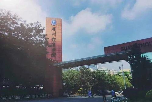 广州市的大学排名一览表