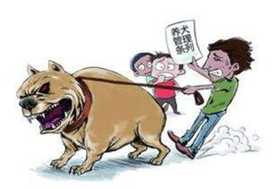 法律人看 杭州母女遭4条恶犬围攻事件 不文明养犬亟待加强整治力度