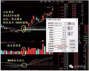 学做股票是学会所有技术好，还是一招鲜吃遍天学会一种方法好？