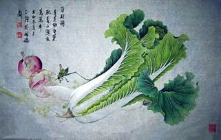 白菜的颜色怎么弄好看 工笔画白菜上色步骤