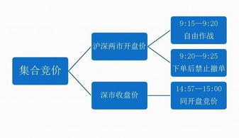 集合竞价确定成交价的几个原则：1.可实现最大成交量的价格是什么意思啊？能不能举例说明一下