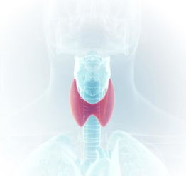 甲亢不及时治疗的后果 怎么治最好 经典3疗法 吃中药能根治吗