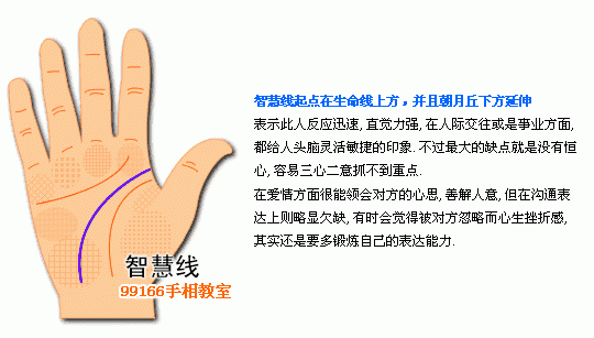 手相图解大全 5 智慧线看个性