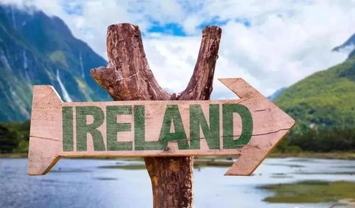 美联说全球 2020年爱尔兰移民窗口期公布,全年仅开放申请25天