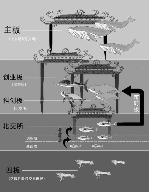 pe板和亚克力板的区别？