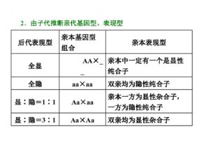 2017 2018学年高一生物浙科版 浙江专版 必修二课件 小专题 大智慧 分离定律的解题规律和概率计算 