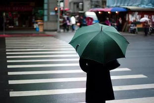 感悟 生活如雨,有伞就好