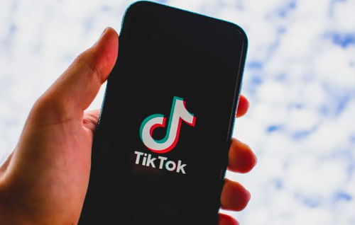 如何利用“TikTok标签”进行品牌推广_tiktok怎么投ads广告