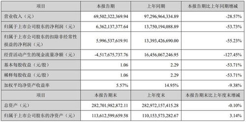 查重率计算详解：从源头到结果