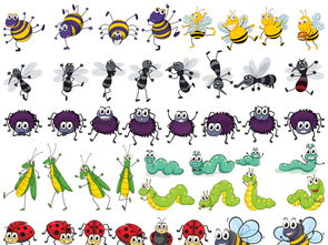卡通可爱小昆虫图片素材