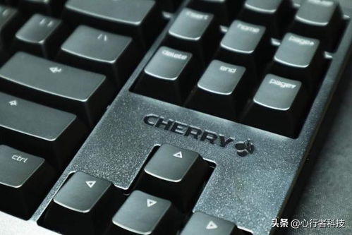 双十一不知道买什么键盘鼠标 Cherry教你怎么买