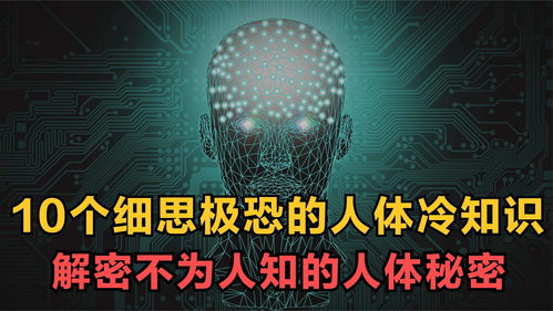 10个细思极恐的人体冷知识,揭秘不为人知的人体秘密 