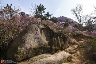 消夏计划 牛牛爱旅行 霞蔚珠山 青岛黄岛大珠山 小珠山游览记