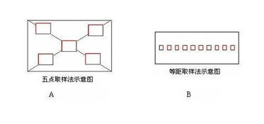 抽样方法的系统抽样 