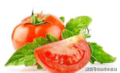 夏天到了,孕妇能吃西红柿吗