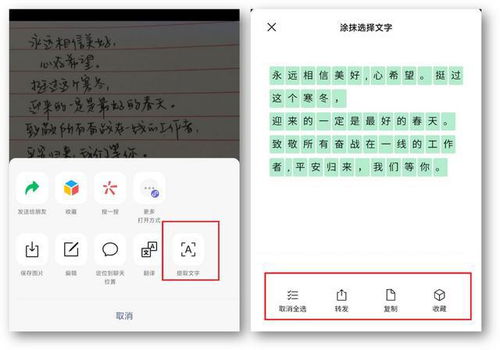 微信技巧总结 7个大众都说好用的技巧,你不会不知道吧