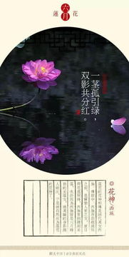 七月蜀葵 花神李夫人 搜狗图片搜索