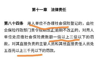 我们公司都要去购买五险一金，可是我不知道怎么购买，谁能告诉我步骤