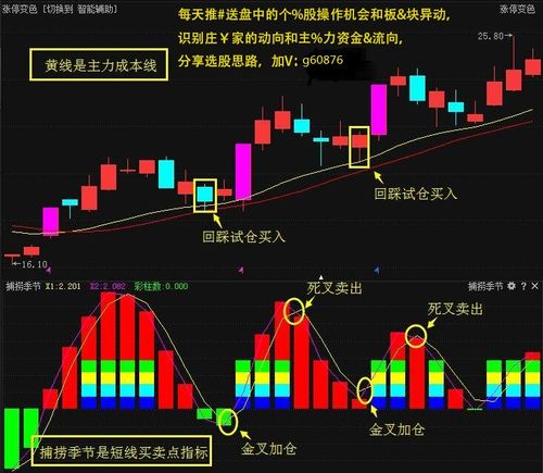 中国股市晚间狂飙：多只股票涨幅超过10%，外资突然看多，预示何种信号？