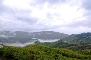 安吉天荒坪旅游感想