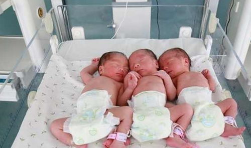 一胎女儿,二胎是双胞胎女儿,等三胎3胞胎出生后,一家人乐开花