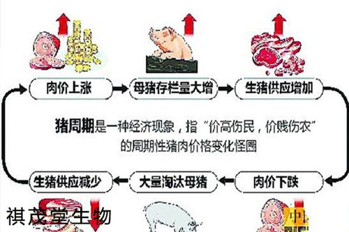 为什么最近肉价上涨这么厉害啊？