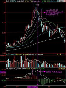 股票中最有效的指标是哪个？？？