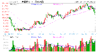 问下 为什么伟星股票大的呢