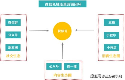 微信视频号运营技巧,打造私域流量营销闭环