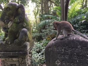 来一场放松的巴厘岛之旅