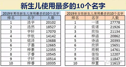 中国最新人口报告,看看什么名字最火,有多少人和你重名