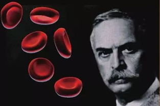 O型血是万能血吗 人类血型之谜是怎么解开的 