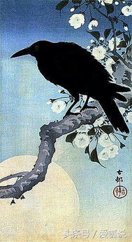 没有明月不言禅 日本画中的大月亮 