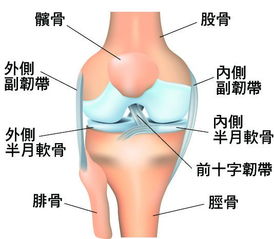 运动不是膝盖杀手,它才是