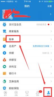 支付宝账号的支付记录在哪里查看？