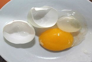 孕妇可以吃鸽子蛋吗 孕妇能吃鸽子蛋吗