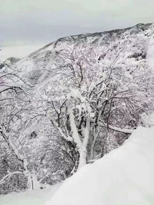 新年第一场雪,下在了湖南这里