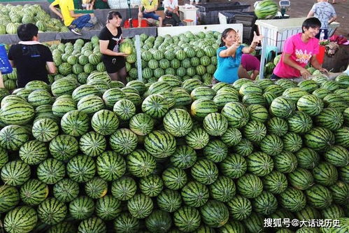 广东游客在东北买西瓜 遭拒 ,老板 卖瓜多年,没见这样买过的