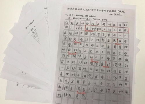 我学汉语高中作文350字