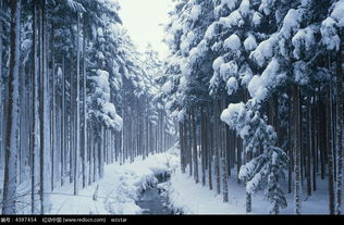 照片雪地特效怎么弄好看？长津湖雪景怎么拍出来的(如何拍摄雪天风景)