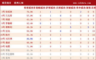 贵州VS恒大数据 孔卡丢球最多 张琳芃头球凶悍 