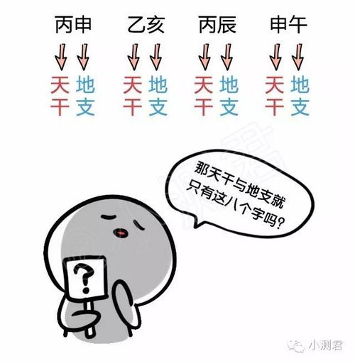 命理科普 八字第三期 天干地支